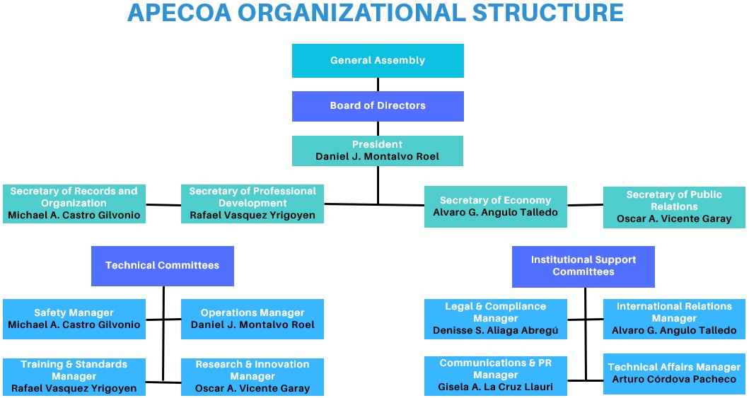 Estructura organizacional APECOA